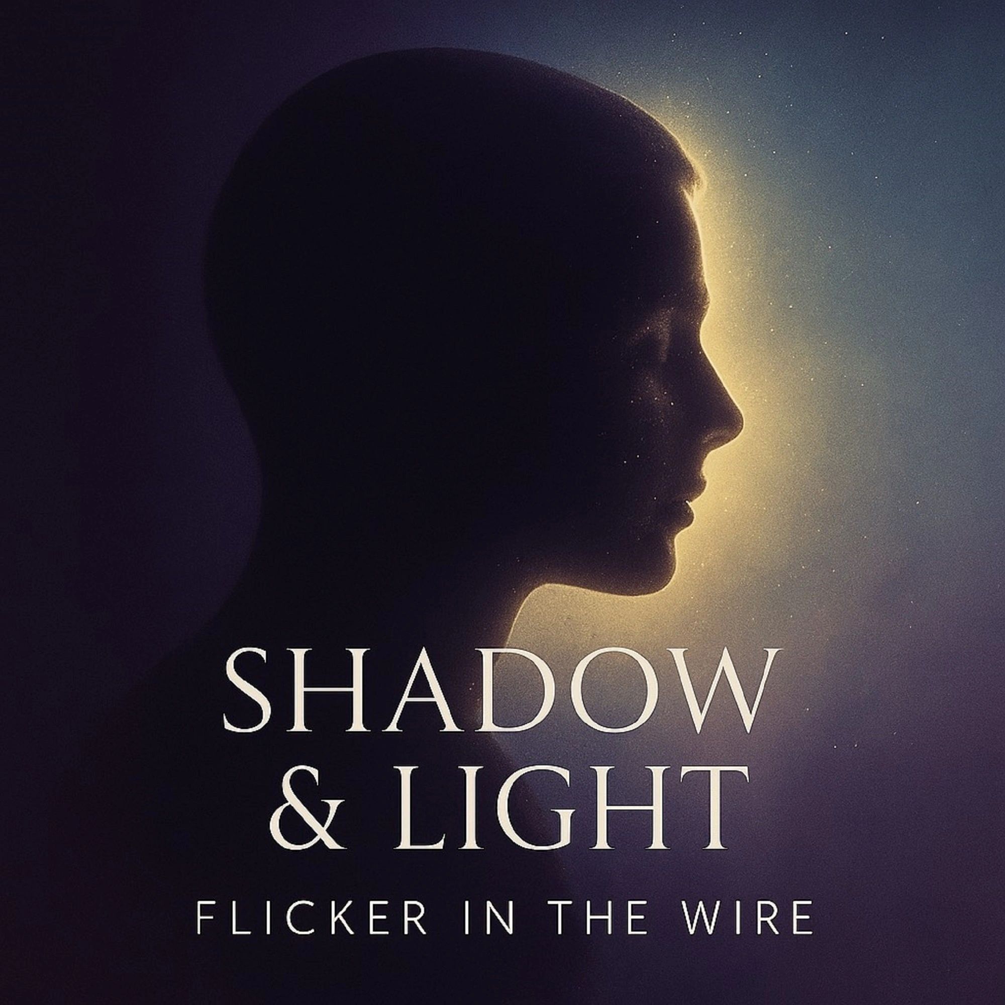 Shadow and Light album cover